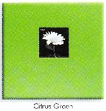 Pioneer Citrus Green Scrapbook